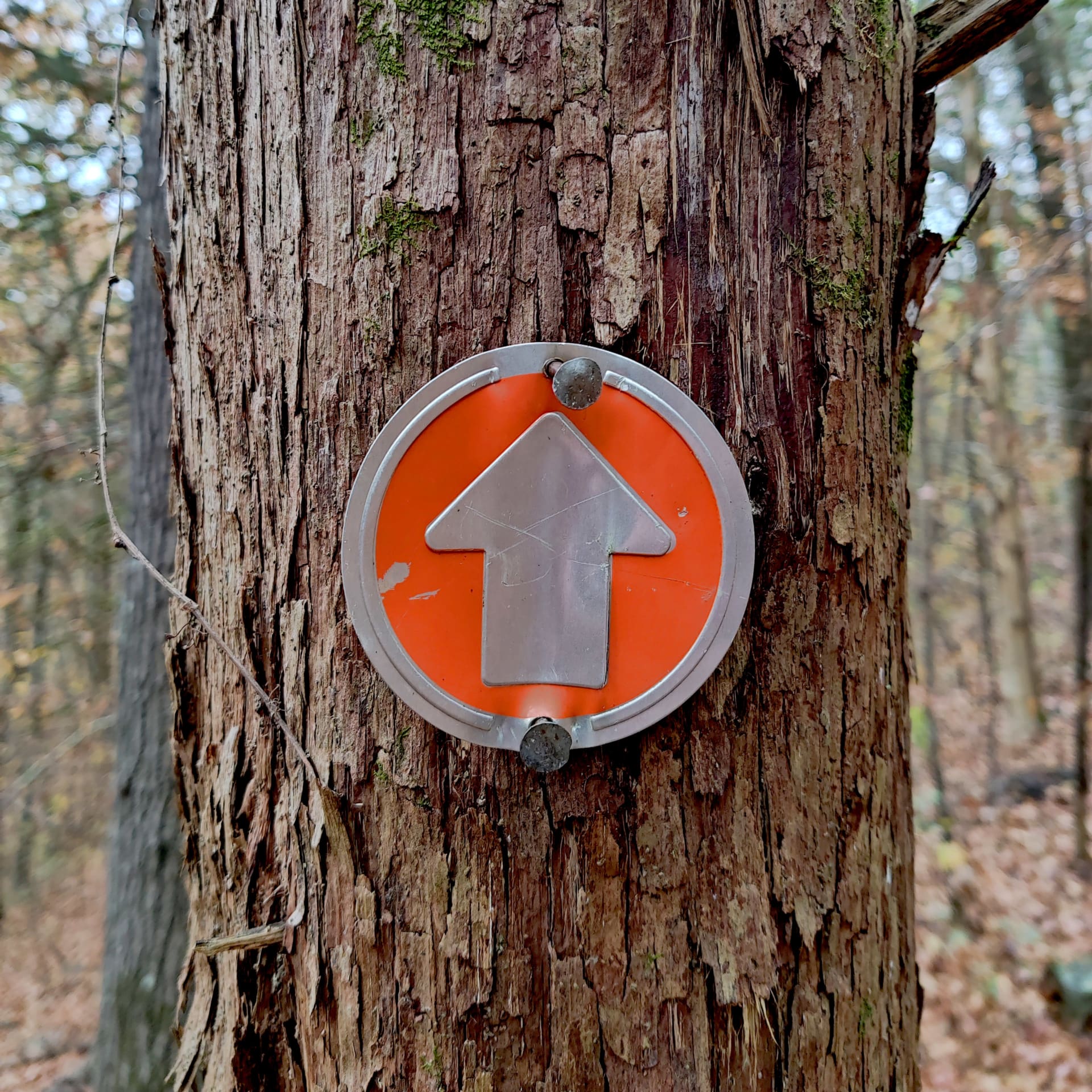 Lake Alma Trail Marker