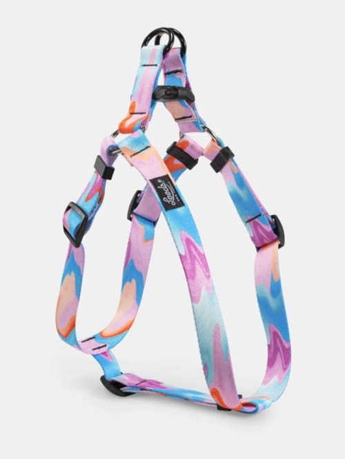 Leeds Pool Party Harness